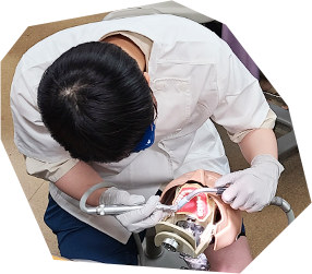 歯学部オープンキャンパス体験