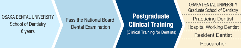 Postgraduate clinical training flow chart