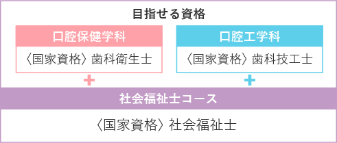 目指せる資格・口腔保健学科歯科衛生士、口腔工学科