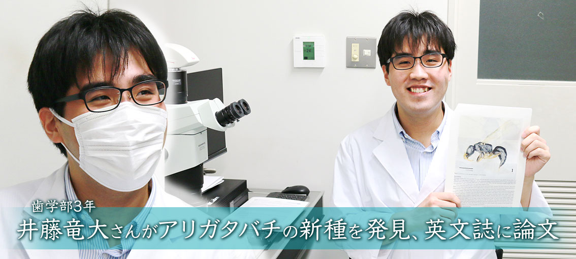 歯学部3年・井藤竜大さんがアリガタバチの新種発見、英文誌に論文