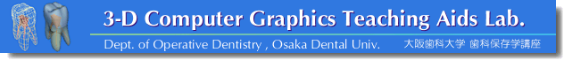 3DCG_TeachingAidsLab.-OperativeDentistry-OsakaDentalUniv.