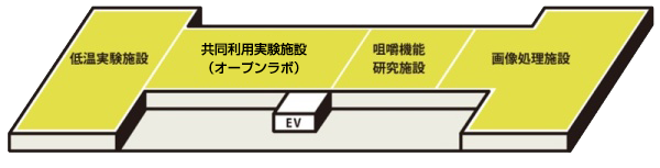 フロアマップ3F